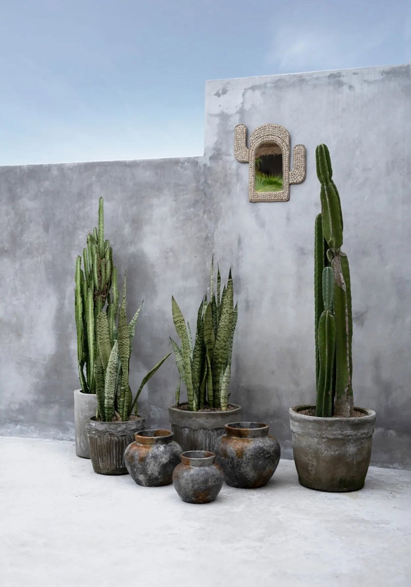 De Cactus Shell Spiegel - Naturel - WeAreTables
